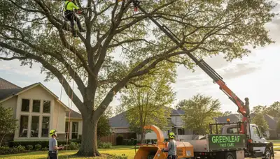 Arborist trimming palm tree in Bradenton FL for healthy growth and storm prep by Chop Chop Tree
